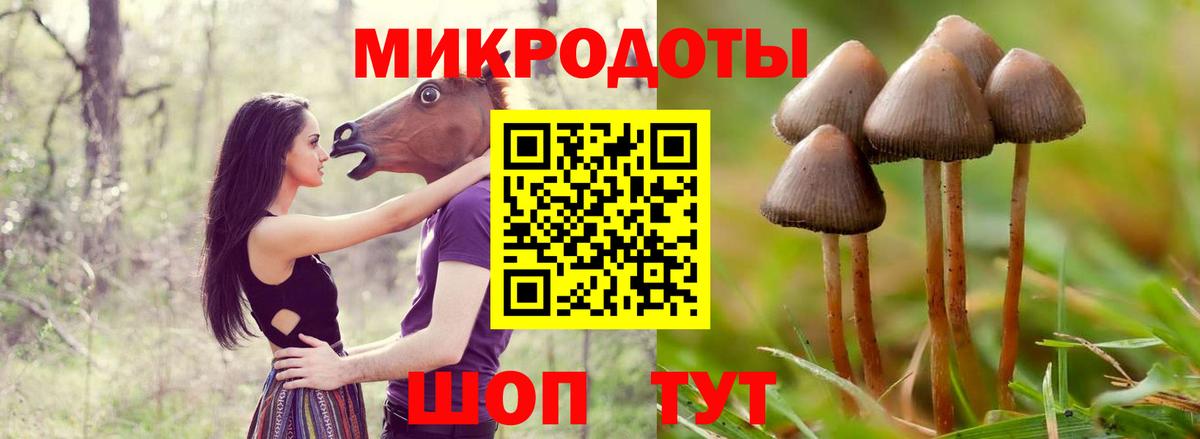 Псилоцибиновые грибы мухоморы Ачхой-Мартан