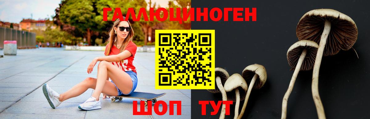 Ачхой-Мартан  Галлюциногенные грибы Magic Shrooms  Вход с VPN 