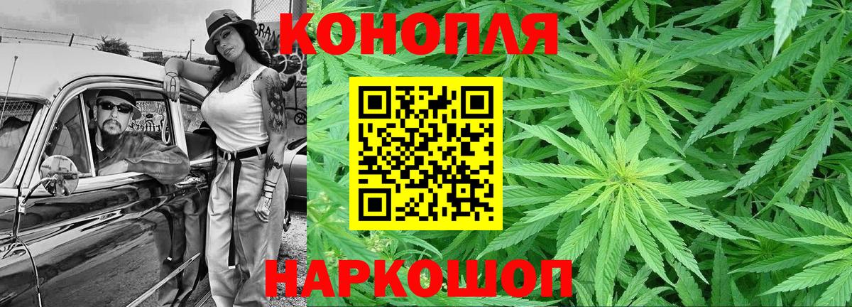 Шишки марихуана Ganja Ачхой-Мартан