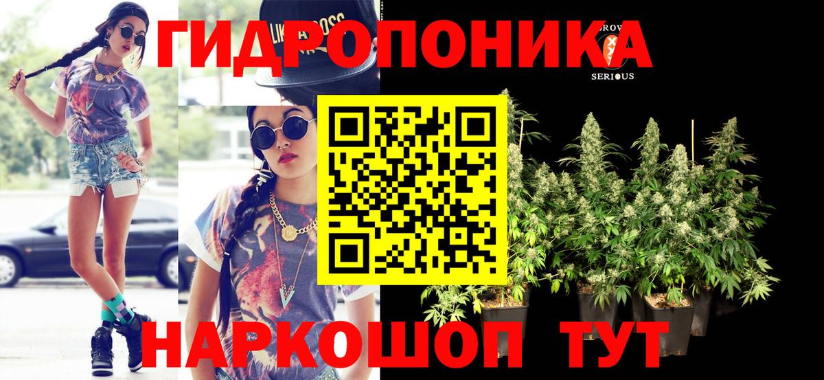 Бошки марихуана THC 21% Ачхой-Мартан